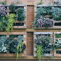 Ter plantas em casa pode ser uma ótima maneira de deixar o lar mais aconchegante e trazer a natureza para mais perto de uma maneira prática; veja essas dicas