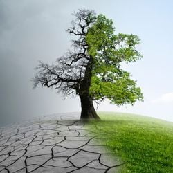 O estudo alerta ainda que um quarto dos entrevistados vivenciaram ou conhecem alguém que vivenciou eventos climáticos extremos