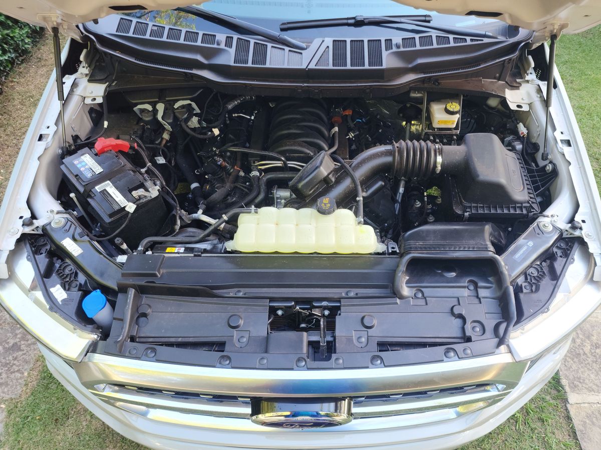 picape Ford F-150 Platinum