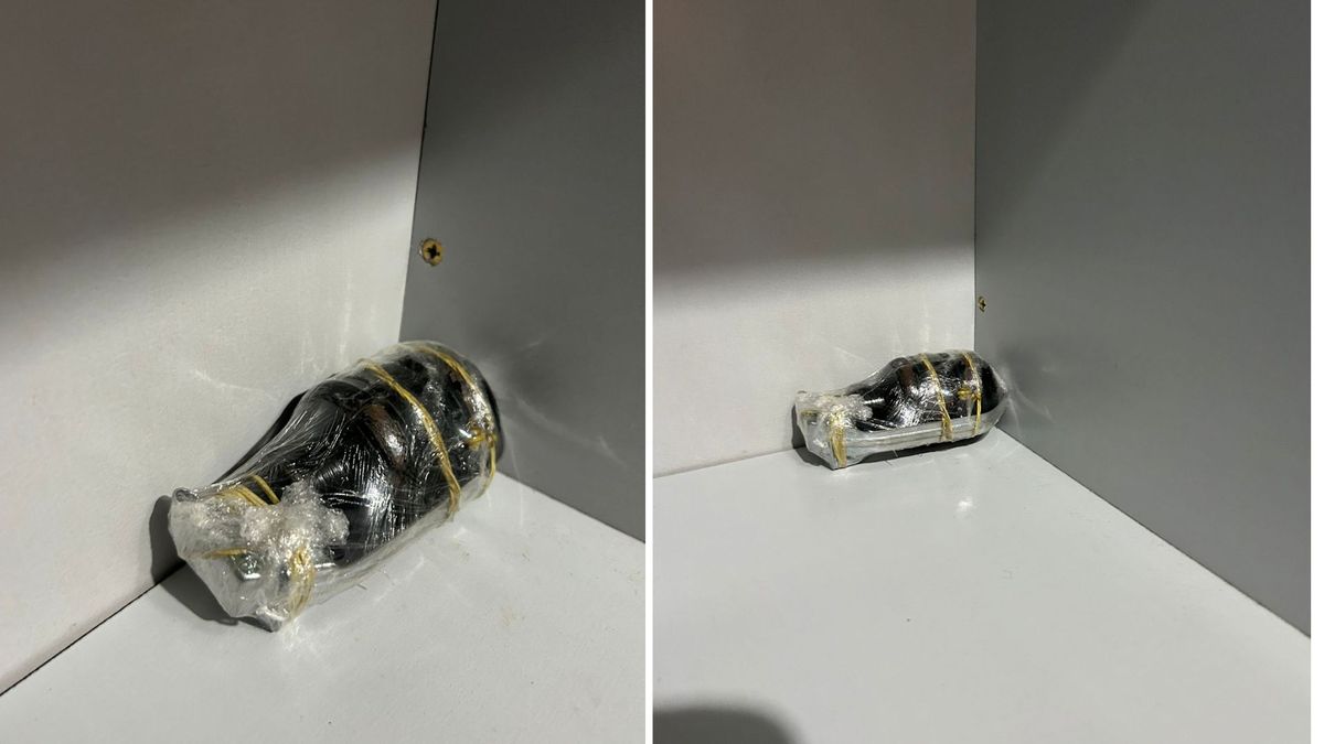 Granada encontrada na Serra