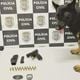 Imagem - A incrível história da 1ª apreensão de arma de um jovem cão policial