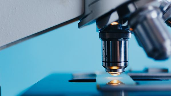 Entre os principais agentes desse cenário está a Klebsiella pneumoniae, resistente a carbapenêmicos — antibióticos de última linha. Em algumas regiões do mundo, mais da metade dos tratamentos já são ineficazes