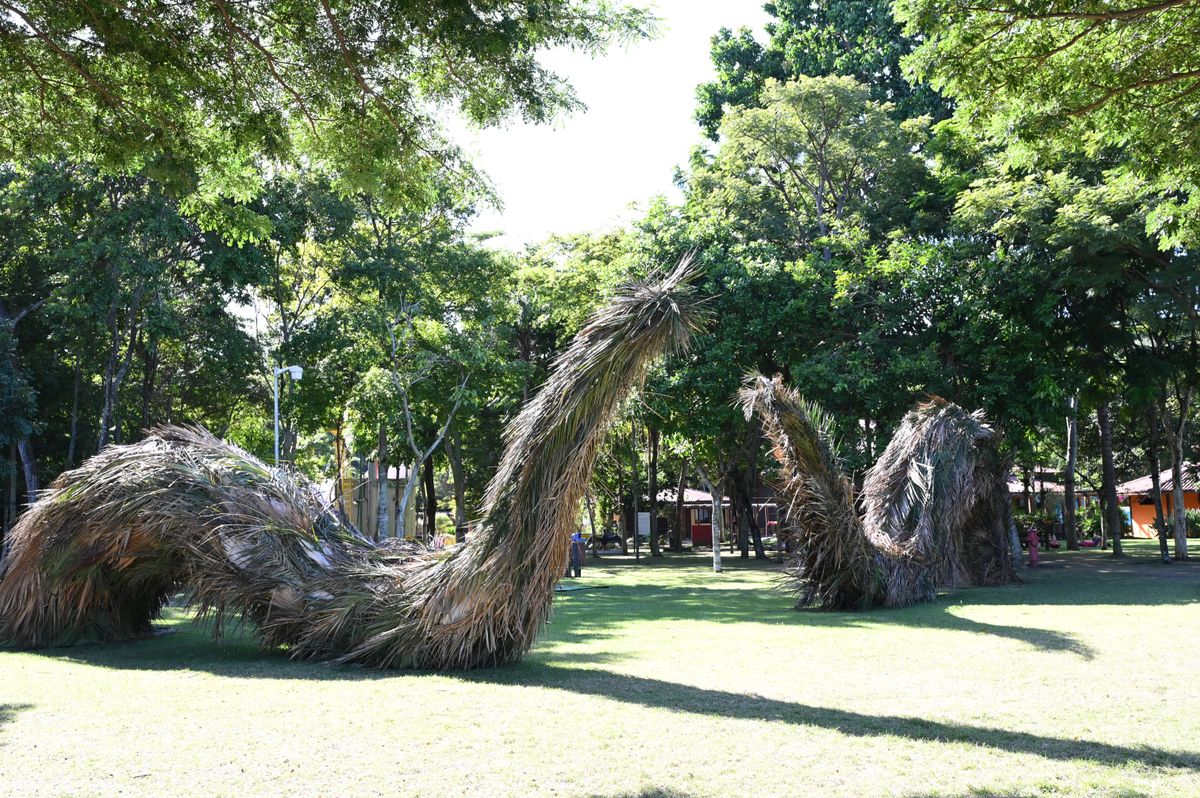 "a arte passa a fazer parte da paisagem"