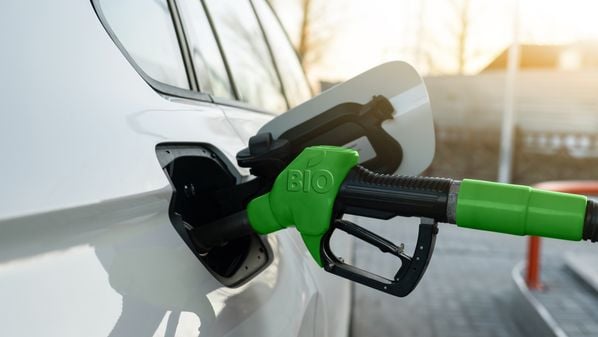 Não se trata apenas de proteger o meio ambiente, mas de reposicionar a economia capixaba frente a um mundo que já cobra produtos, serviços e cadeias produtivas menos intensivas em carbono