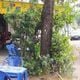 Imagem - Quase 40 anos de tradição: famoso bar de Vitória fecha as portas