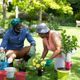 Imagem - Calor combina com plantas? Especialistas dão dicas para cuidar do jardim no verão