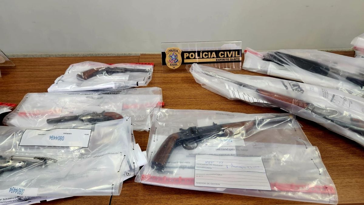 Investigação resulta em apreensão de 19 armas utilizadas para venda ilegal em Venda Nova do Imigrante 