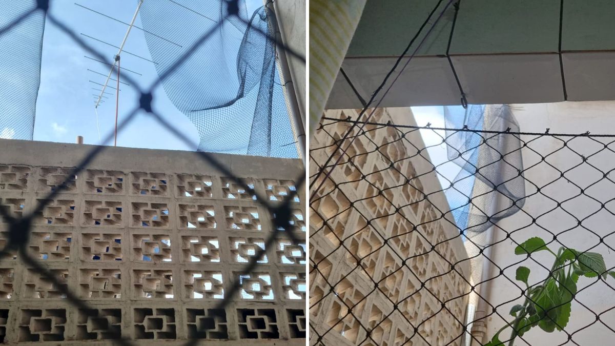 Suspeito retirou a tela e entrou pela janela