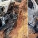Imagem - Motorista escapa de morrer carbonizado após acidente em Rio Bananal