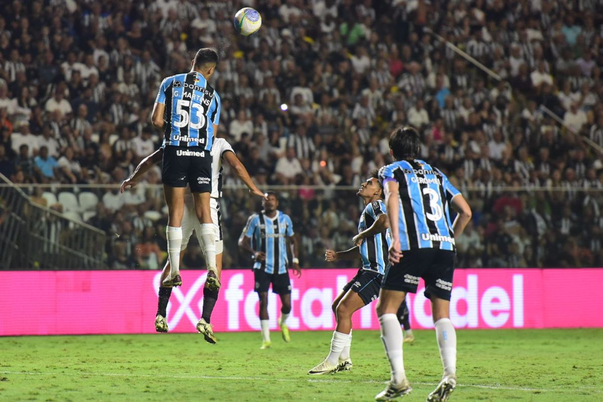Botafogo vence o Grêmio e assume a liderança do Campeonato Brasileiro em noite de festa da torcida capixaba no Kleber Andrade por Carlos Alberto Silva/A Gazeta