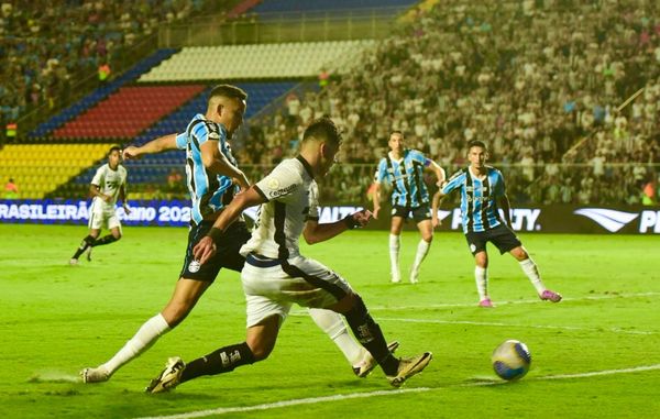 Botafogo vence o Grêmio e assume a liderança do Campeonato Brasileiro em noite de festa da torcida capixaba no Kleber Andrade por Carlos Alberto Silva/A Gazeta