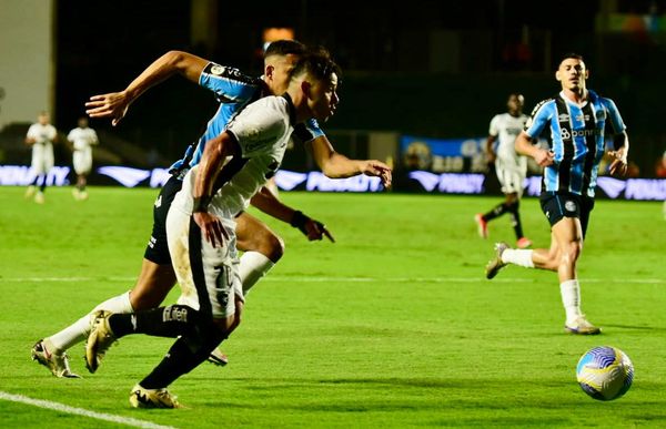 Botafogo vence o Grêmio e assume a liderança do Campeonato Brasileiro em noite de festa da torcida capixaba no Kleber Andrade por Carlos Alberto Silva/A Gazeta