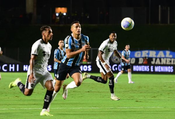 Botafogo vence o Grêmio e assume a liderança do Campeonato Brasileiro em noite de festa da torcida capixaba no Kleber Andrade por Carlos Alberto Silva/A Gazeta
