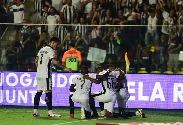 Botafogo vence o Grêmio e assume a liderança do Campeonato Brasileiro em noite de festa da torcida capixaba no Kleber Andrade por Carlos Alberto Silva/A Gazeta
