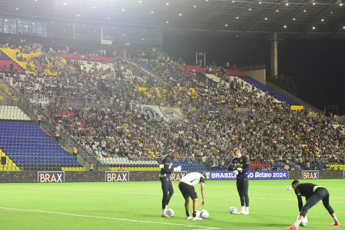Botafogo vence o Grêmio e assume a liderança do Campeonato Brasileiro em noite de festa da torcida capixaba no Kleber Andrade por Carlos Alberto Silva/A Gazeta