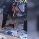 Imagem - Grupo arromba e furta barbearia em Linhares com carro de app roubado