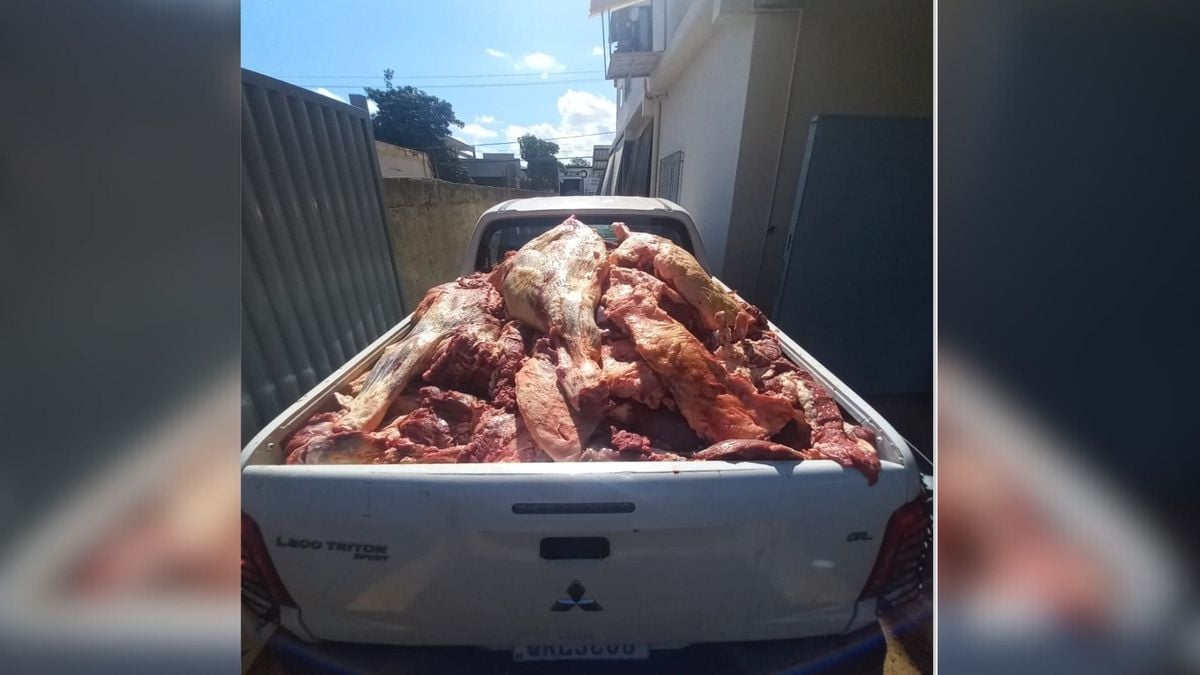 Parte da carne apreendida em Baixo Guandu