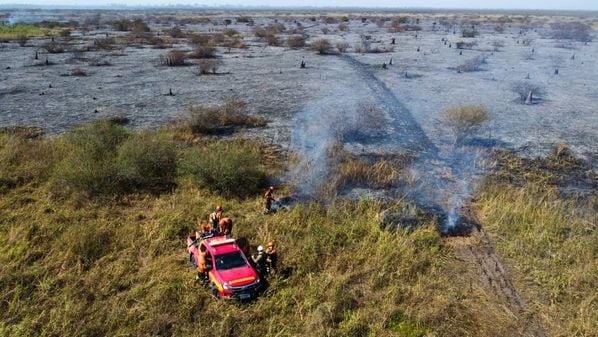 O chamado é oportuno, em função da urgência da questão ambiental e da realização da COP 30 em novembro deste ano. De certa forma, a reflexão e o apelo pela conversão propostos nesta edição não se encerraram com a Quaresma
