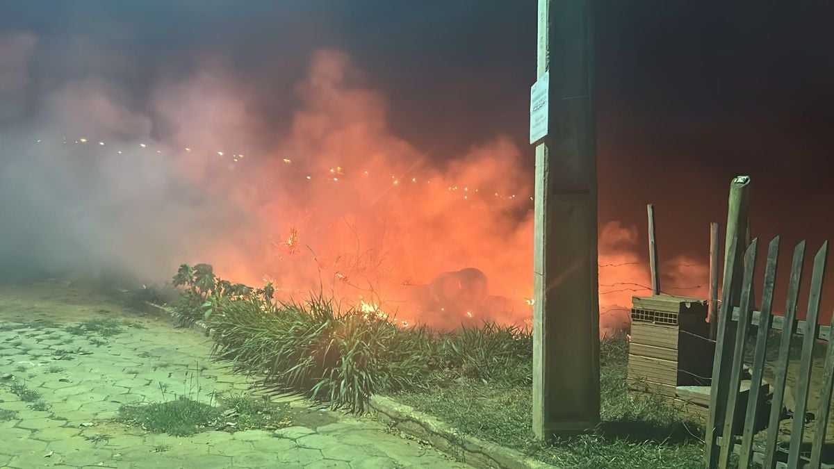 Área de vegetação pega fogo e chamas se aproximam de casas em Colatina