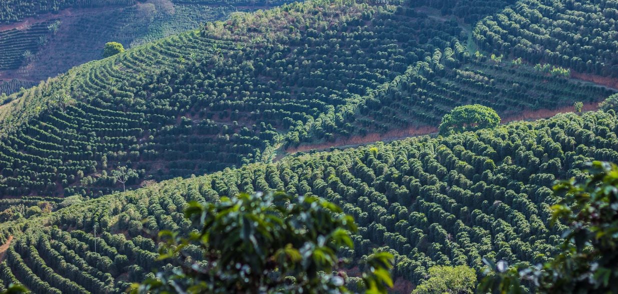 Batizado de “Experiência com cafés de origem Caparaó”, o roteiro reflete a cultura predominante da região