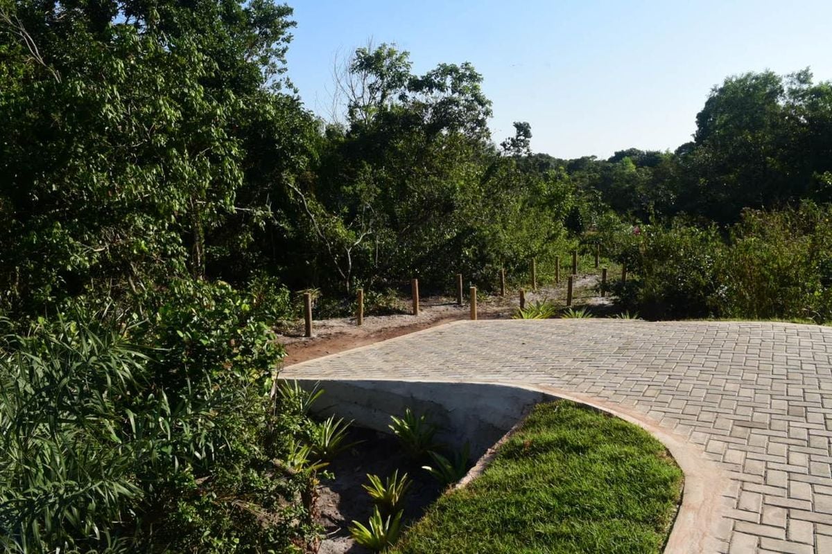 Parque Natural Municipal de Jacarenema por Carlos Alberto Silva