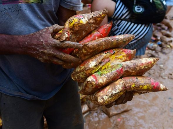 Pessoas tentam encontrar alimentos em meio à lama da destruição em Mimoso do Sul por Fernando Madeira