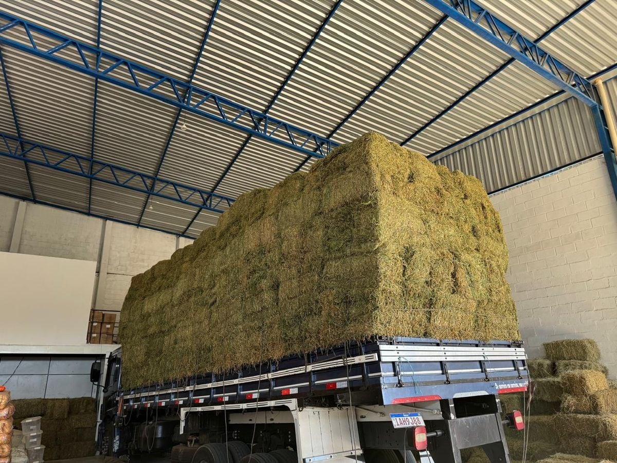 Nárke II: No Espírito Santo, operação teve saldo de 6 pessoas presas, 48 quilos de maconha apreendidos e 2,5 toneladas incineradas