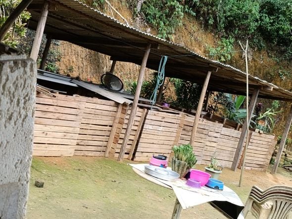 Canil clandestino é descoberto em Viana com 145 cães de raça  por Divulgação | PM Ambiental