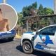 Imagem - Serralheiro é assassinado com tiros na cabeça após perseguição em Viana