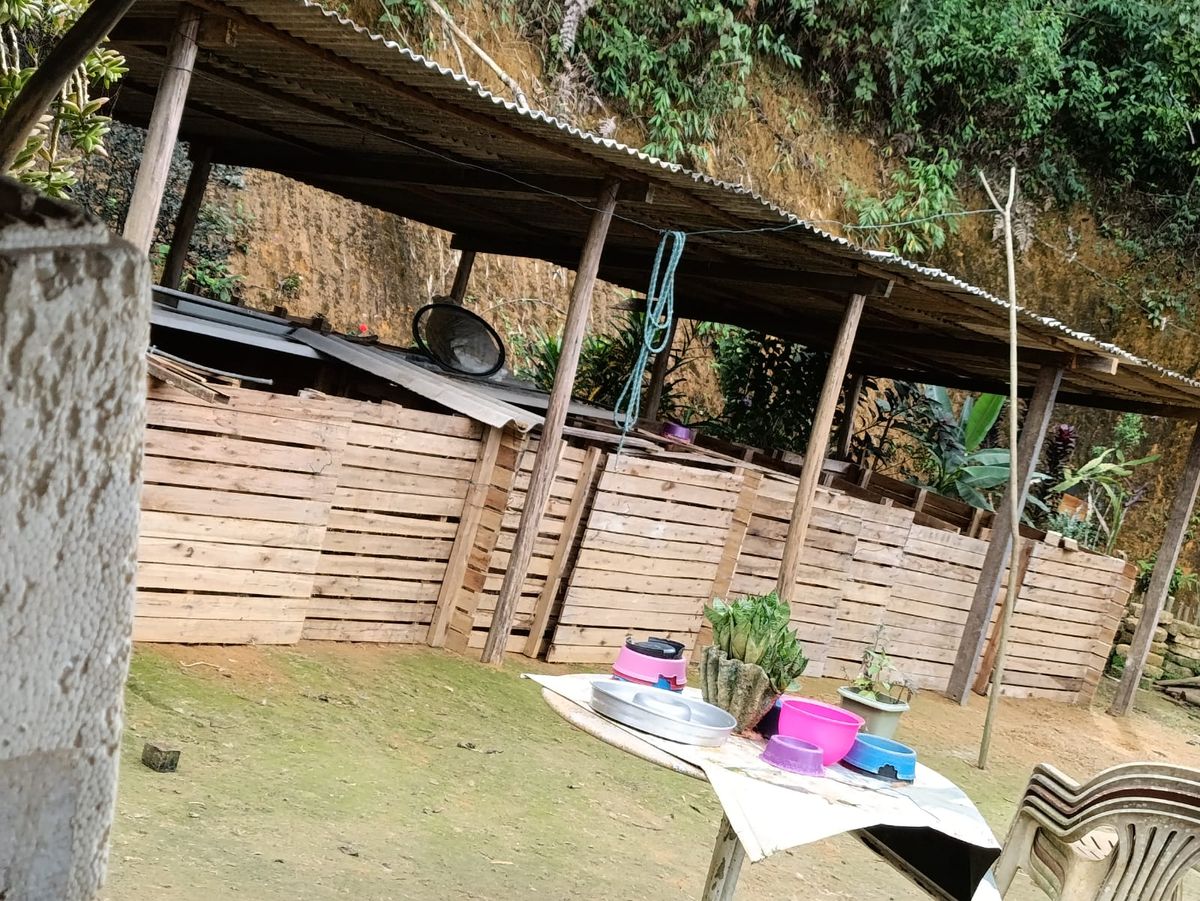 Canil clandestino é descoberto em Viana com 145 cães de raça  por Divulgação | PM Ambiental