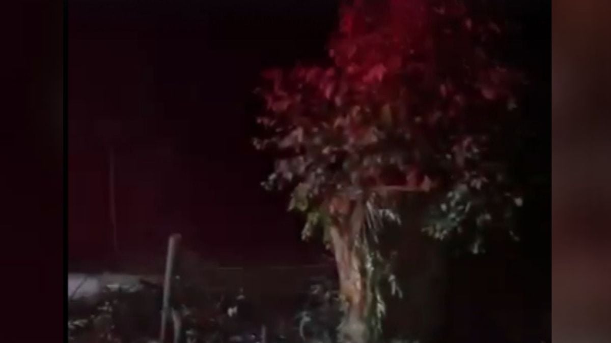 Homem morre após bater de quadriciclo em árvore em Itapemirim