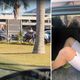 Imagem - Garagem, espera e invasão: a cronologia do crime em apartamento de Venda Nova