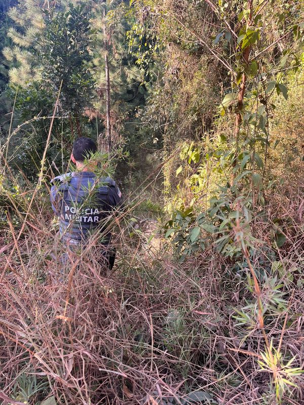 Buscas feitas pela Polícia Militar  por Polícia Civil 