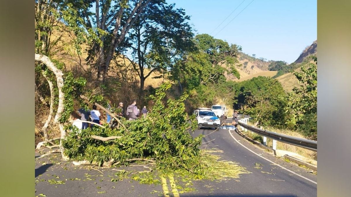 Motorista desvia de árvore e atinge motociclista em Alegre 