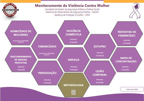 Painel de Monitoramento da Violência Contra Mulher