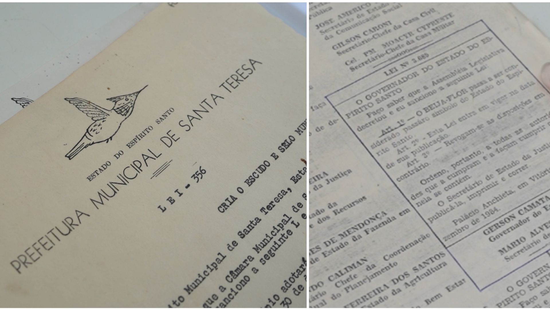 Documentos registram que beija-flor virou símbolo em Santa Teresa e no Estado