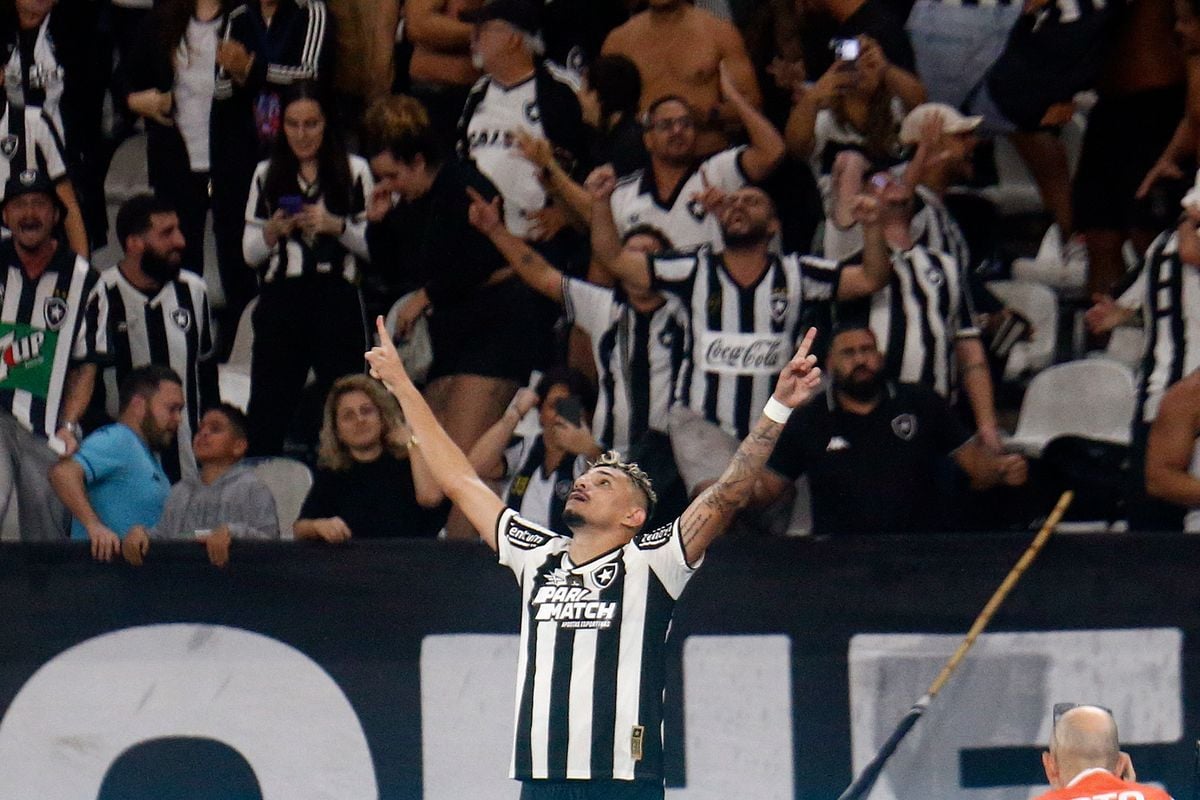 Tiquinho marcou o gol da vitória do Botafogo sobre o Palmeiras no Nilton Santos