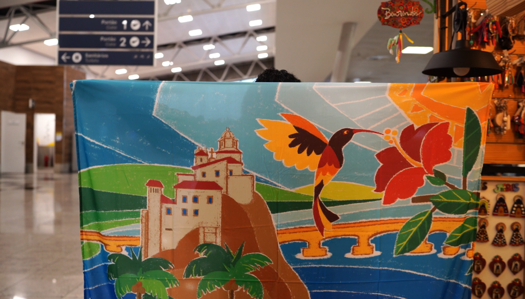 Beija-flor é um dos Tesouros Capixabas e estampa roupas no Espírito Santo