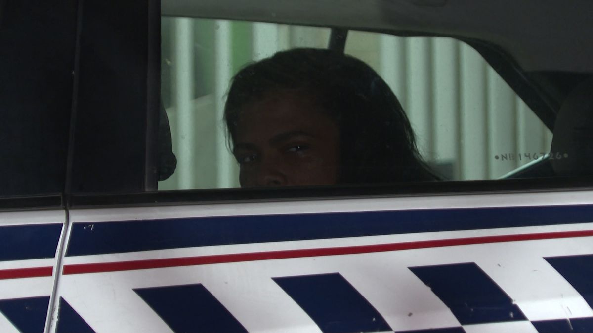 Herica Lucide Custodia