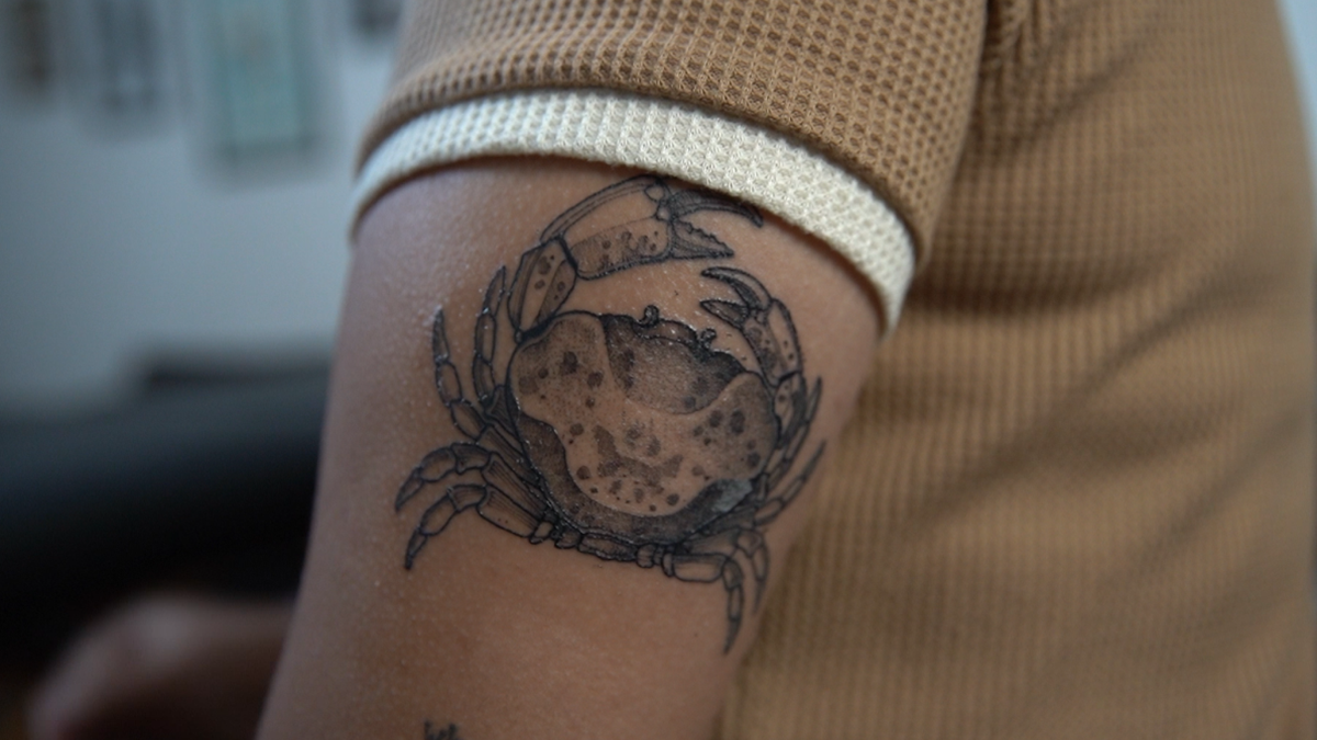 Caranguejo-uçá é um dos tesouros capixabas e virou até tatuagem no ES