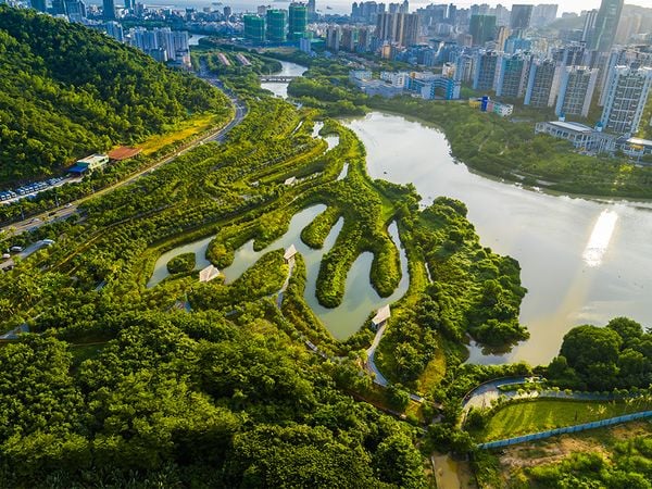 Parque dos Manguezais, em Sanya, na China, é um exemplo de ferramenta de cidades-esponja