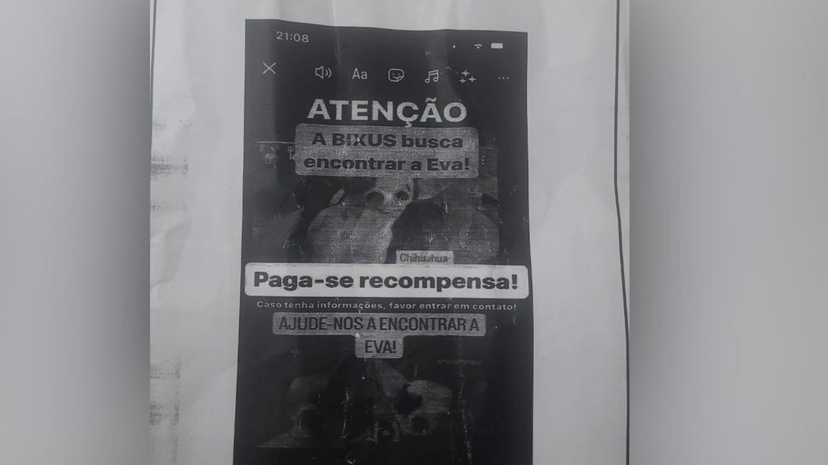 A família reclama da qualidade dos cartazes distribuídos pela clínica, onde não dá para reconhecer Eva. 