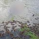 Imagem - Suspeitos de matar homem encontrado em represa de Ponto Belo são presos