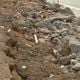 Imagem - Rachaduras em obra de contenção à beira-mar preocupam moradores de Marataízes