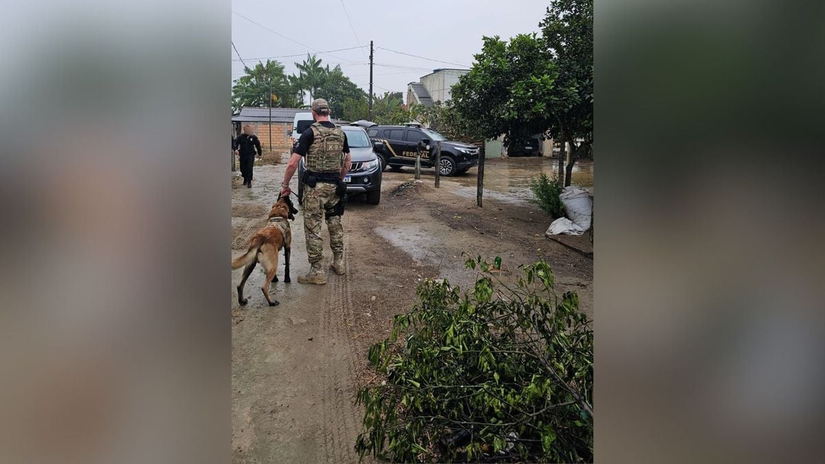 A Polícia Federal deflagrou nesta quinta-feira, 1º de agosto