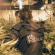Imagem - Como bares e lojas do Reino Unido estão virando plantações de maconha