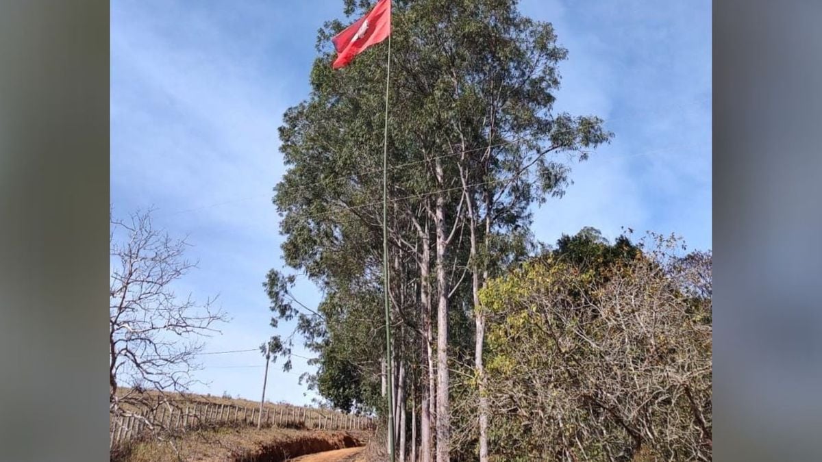 Fazenda da Ufes é invadida em São José do Calçado