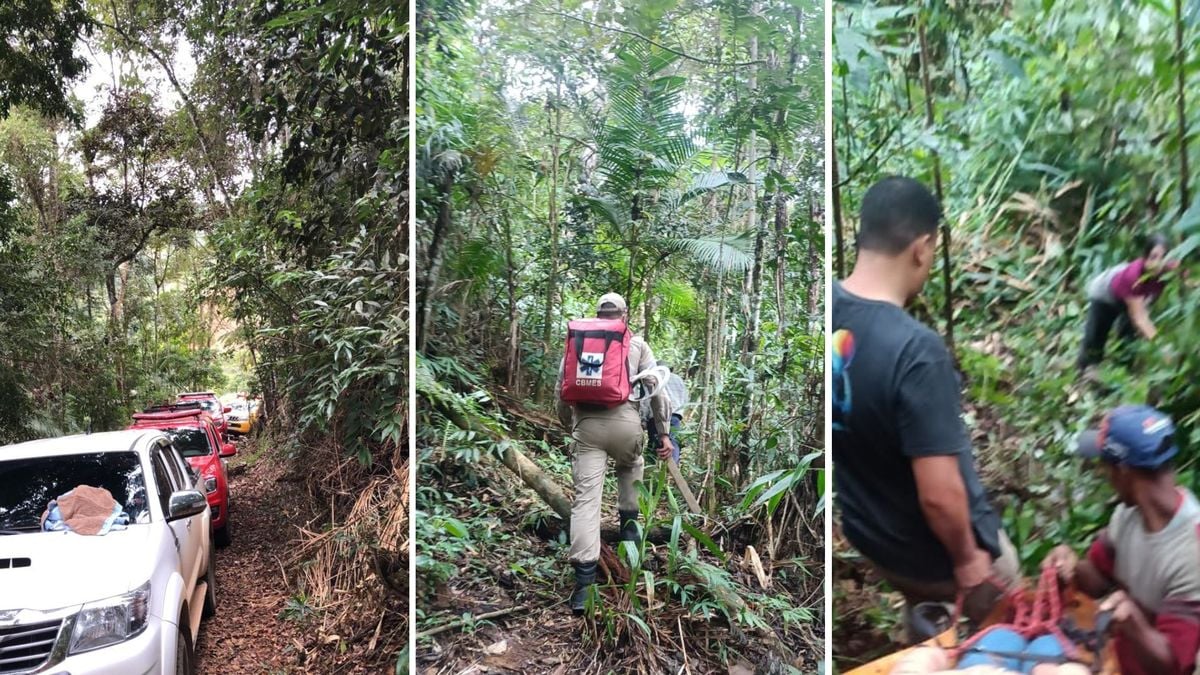 No meio de mata, outro balão faz pouso emergencial na Região Serrana do ES