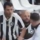Imagem - Botafogo identifica e decide banir torcedor por gesto racista no estádio Nilton Santos