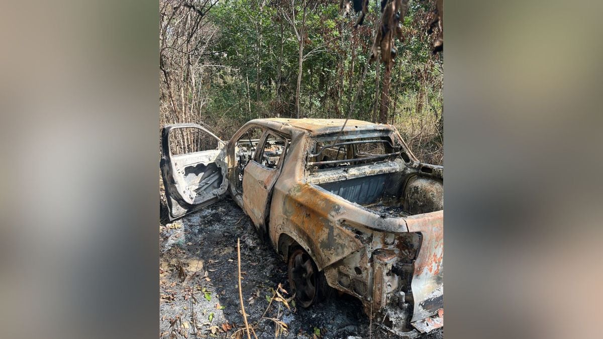 Quadrilha de Jaguaré alugava, adulterava e vendia carros de locadoras